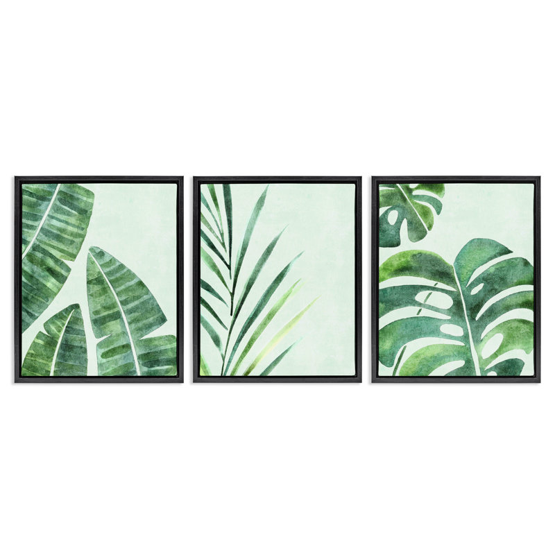 Ensemble de 3 cadres flottants à motif de feuilles variées, par Camila Juncos, H 21 po x l 17 po, Cadre flottant noir de jais
