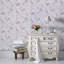 Superfresco Easy Songbird Tree Silhouette Butterfly Wallpaper-26878525