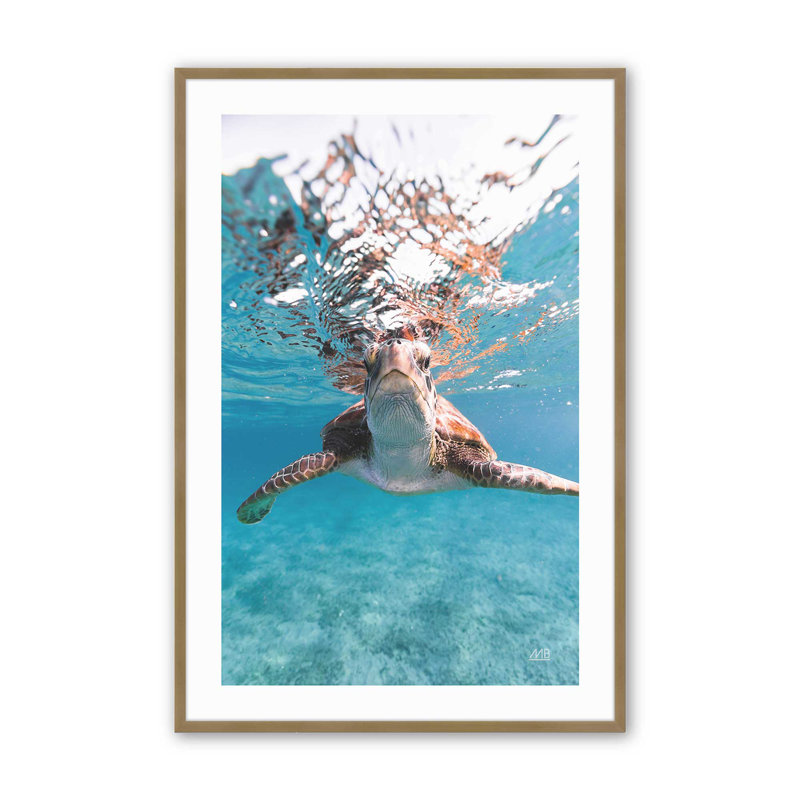 Danse de grès à imprimé clair, H 13 po x l 17 po, Framed Print with Mat, Or brossé