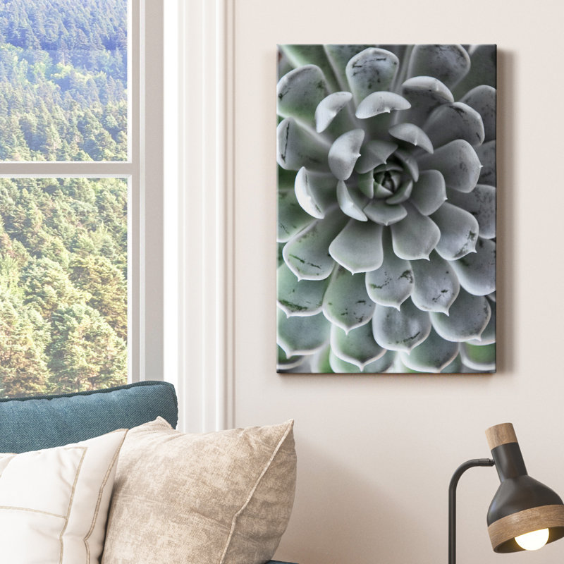 Zen Succulent III - reproduction de photo sur toile tendue, H 18 po x l 12 po x P 1 po