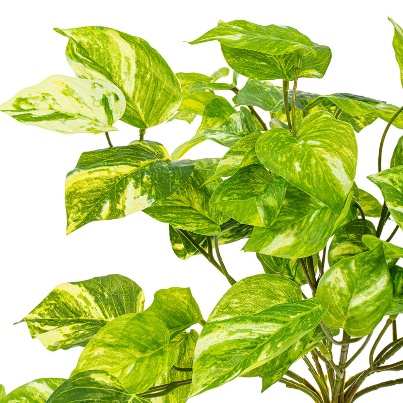  25" Artificial Manjula Pothos Bush