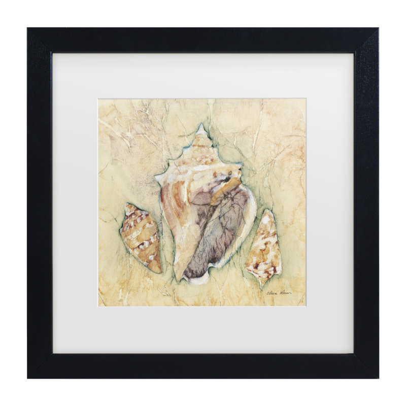 «Cheri Blum Shells III», art encadré mat, Noir, noir, noir, noir, H 18 po x l 18 po