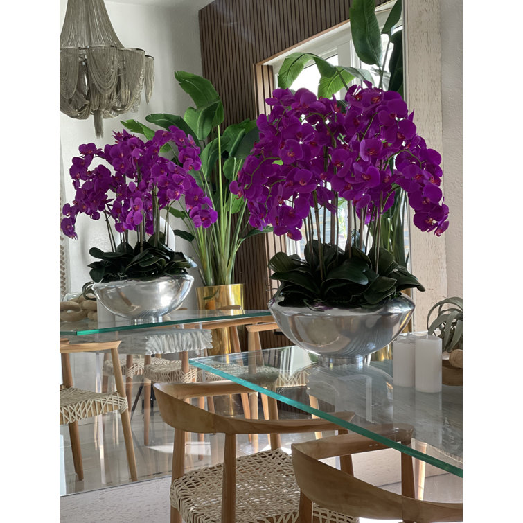 Orchid Floral Arrangement in Planter Primrue Flowers/Leaves Color: Purple