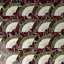 Arc 12X12 Polished Marble Mosaic-6224818