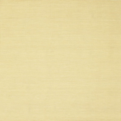 Indoor Rug