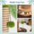  Coconut Palm Cat Tree