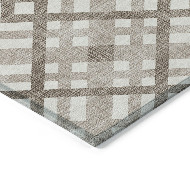 Tapis intérieur / extérieur brun lavable 3 pi x 5 pi
