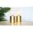 Adonte Metal Desk Lamp