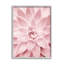 Art mural sur toile Stupell Industries-91306096-91306099