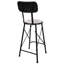 Desarae Counter Stool with Metal Frame