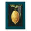 Citron foncé I - impression d'un seul cadre photo-1929416856-1929416867
