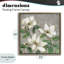 Magnolias ivoire sur cadre flottant gris, design par Sally Swatland-373082212-373082210