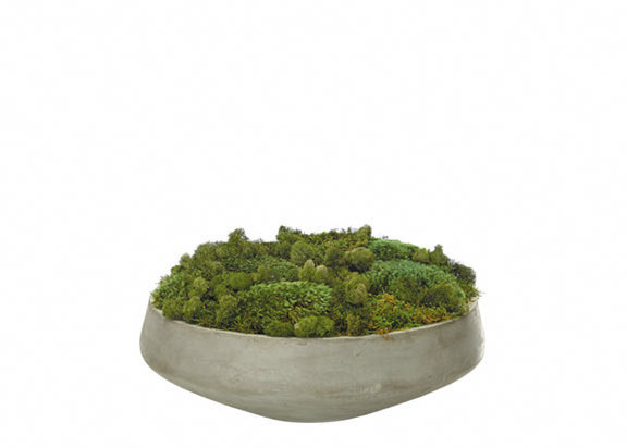 Moss Floral Arrangement in Pot