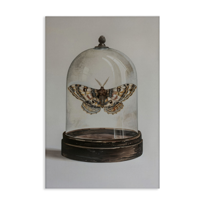 «Moth in Glass Cloche» par Petal Prints Design, H 36 po x l 24 po