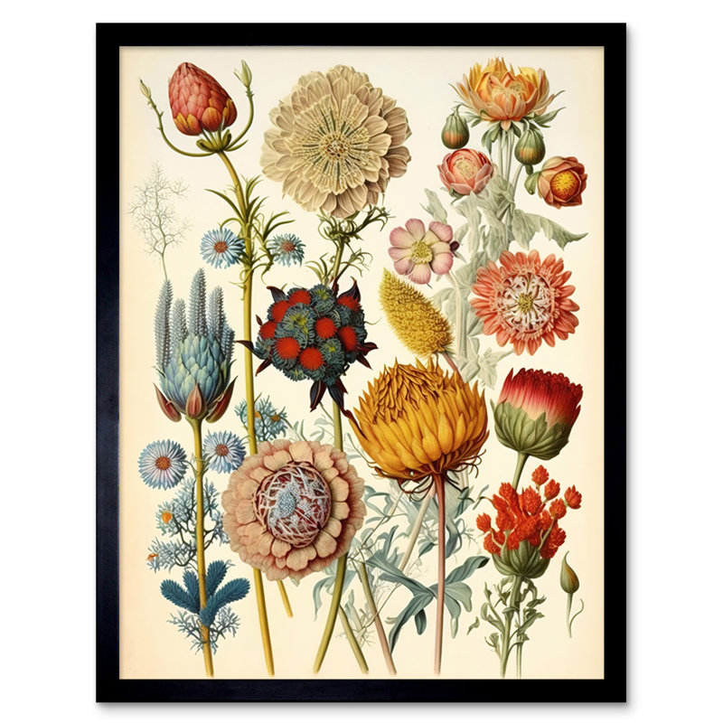 Vintage Botanical Ernst Haeckel Inspired Plant Study - Single Picture Frame Print