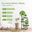 Plant Stand