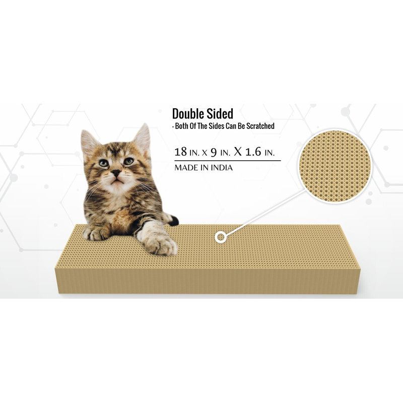 Ameia Scratching Post