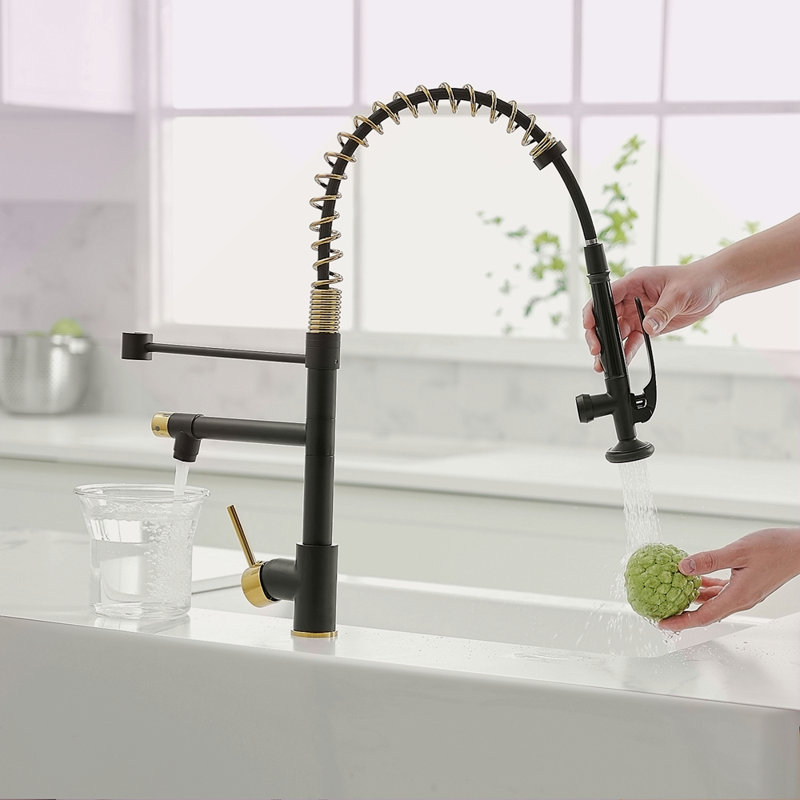 Robinet de cuisine commercial avec pulvérisateur rétractable, robinet d'évier de cuisine à poignée simple, Noir et or