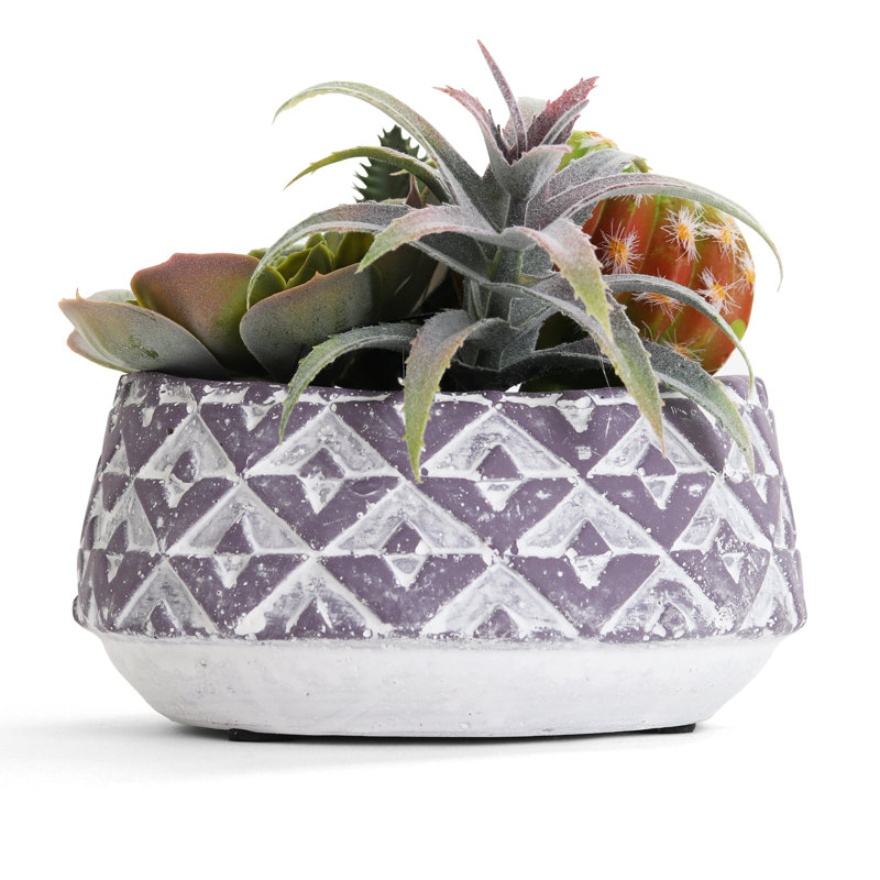 Plante grasse artificielle 7 po en pot