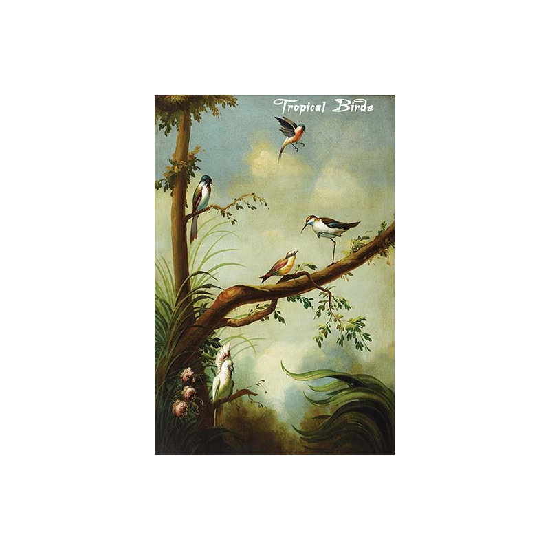 « tropical oiseaux », impression sur bois, H 36 po x l 24 po x P 1,5 po