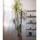 Fausse plante Dracaena