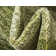 Tapis vert clair Hermina