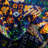Oriental Indoor Rug-1051856313