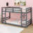 Bunk Bed With Ladder-637473809