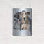 «Greyhound» par Barbara Keith-1573417634