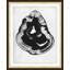 Oculus 4 Print by Thom Filicia