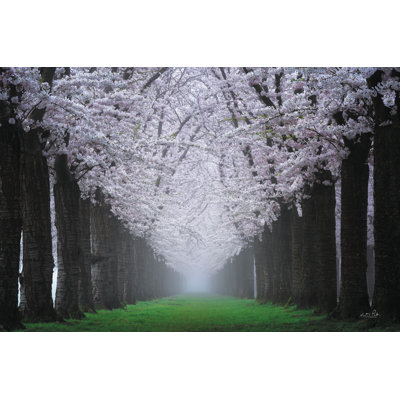 «Magical Cherry Blossom Lane» sur toile par Martin Podt
