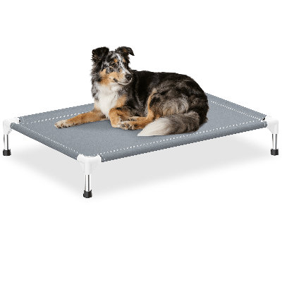  Elevated Raised Stainless Steel Frame Dog Bed for Outdoor & Indoor, Grey (Large)