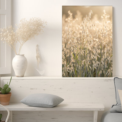 Toile dorée dorée illuminée par une chaude lumière du soleil sur toile