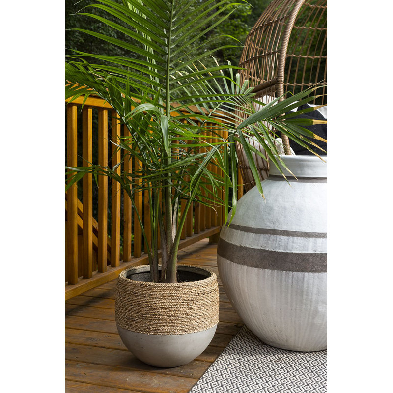 Pot à fleurs Elanie, H 11,5 po x l 12 po x P 12 po