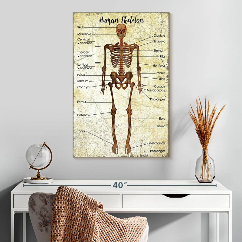 Tableau des squelettes humains Keiri, H 30 po x l 20 po