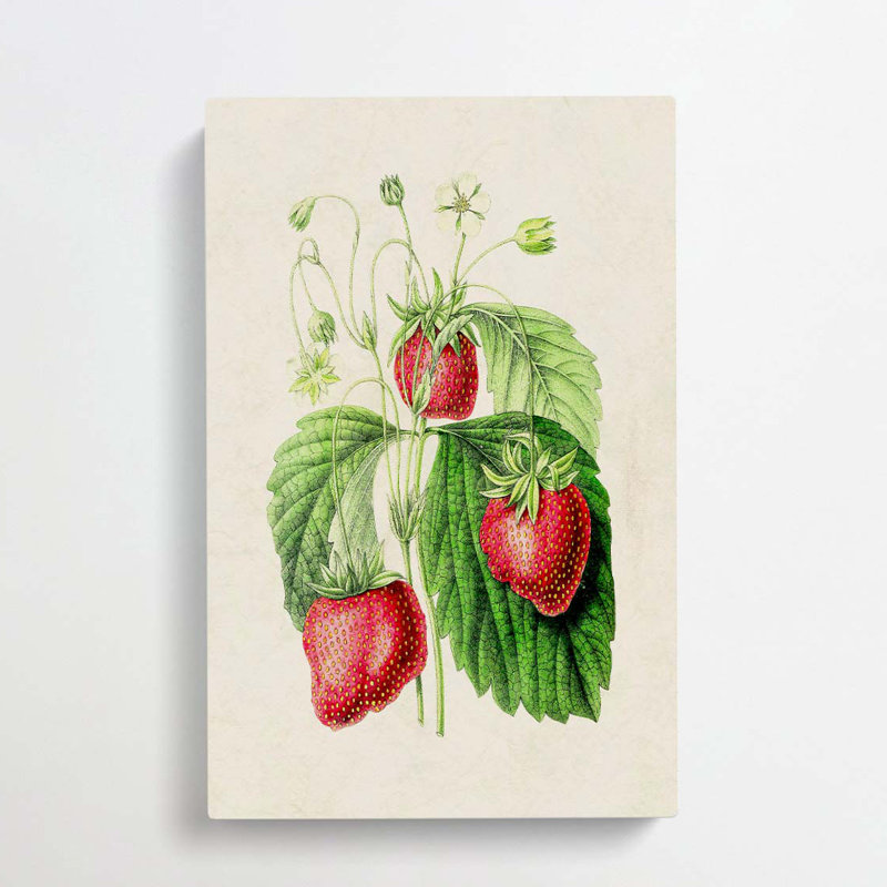 Illustration of Strawberries - Wrapped Canvas, 50cm H x 35cm W x 3cm D