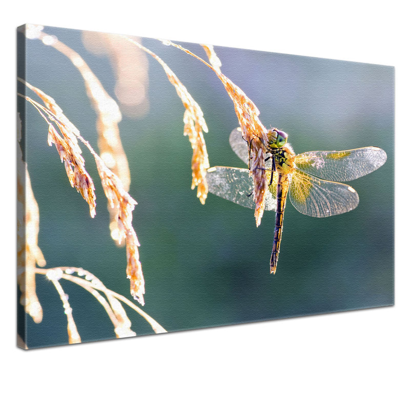 Print on Canvas, 100cm H x 150cm W x 2cm D