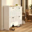 Modern Space-Saving Shoe Cabinet with Flip-Over Compartments