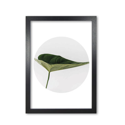 Doc Leaf - Print