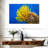 Brampt Yellow Feather Starfish-107847530