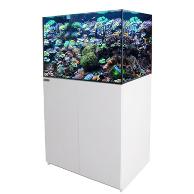 Coral Reef Aquarium Tank With Ultra Clear Glass And Built In Sump All Black