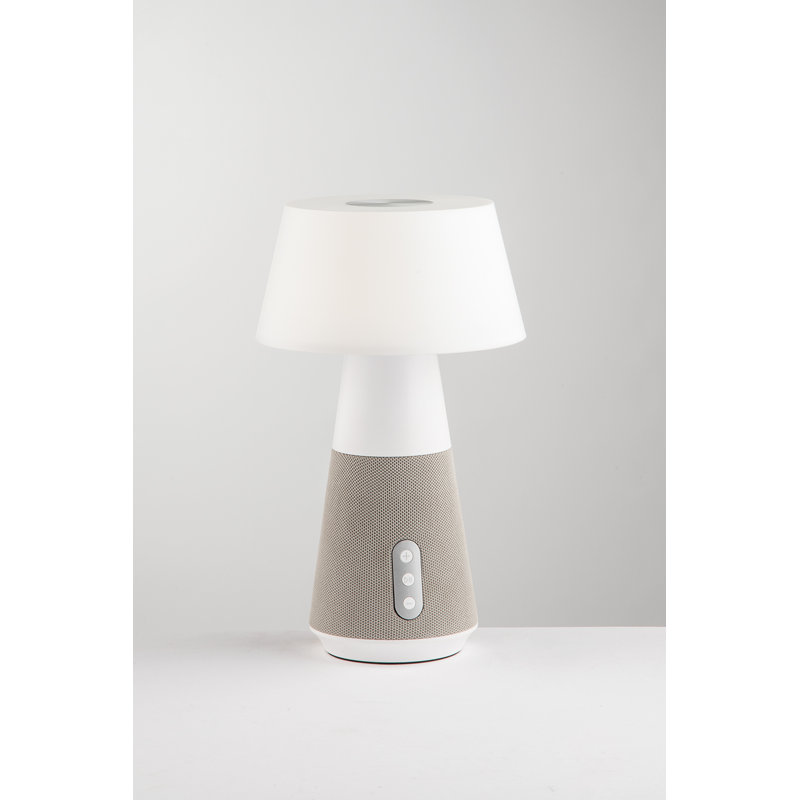 Canye Metal Desk Lamp