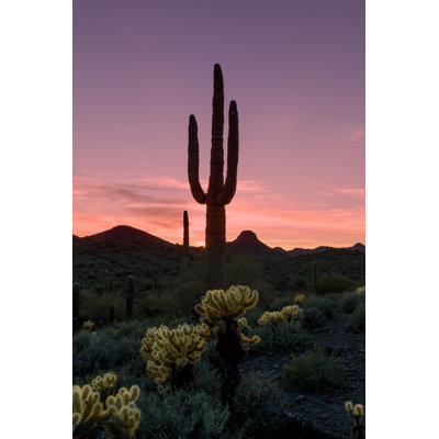 Dayhsaun, Arizona, désert, coucher de soleil sur toile