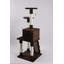 Anaya 51.9'' H Cat Tree
