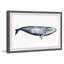 «Giant Blue Whale», reproduction encadrée Aife-959096230