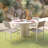 Diamond Sprout/White Handwoven Indoor/Outdoor Rug-4238398