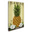 Ananas, impression sur toile tendue-21939802