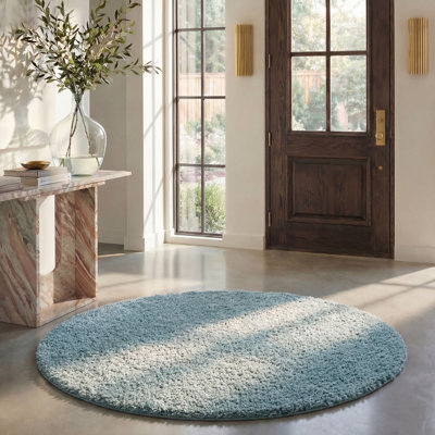 Jiang Aqua Area Rug