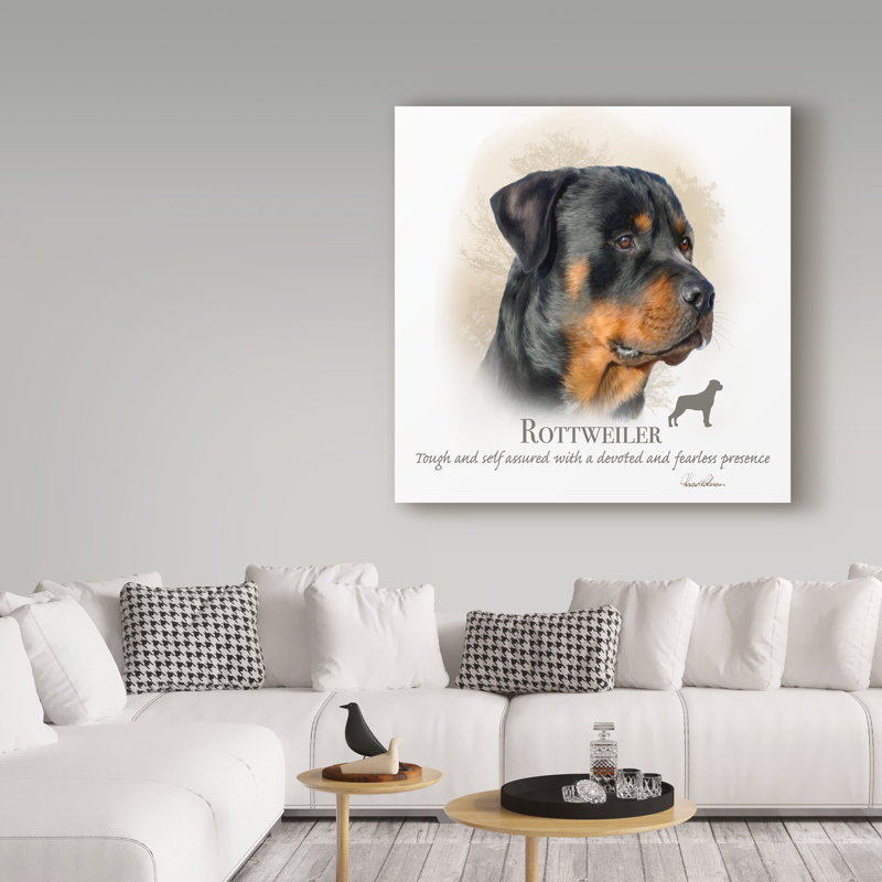 « rottweiler », reproduction d’impression sur toile tendue, H 14 po x l 14 po x P 2 po
