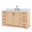ARIEL TAYLOR 61 IN RECTANGLE SINK VANITY-1966789389-1977495147